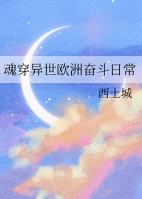 [西欧同人] 魂穿异世欧洲奋斗曰常